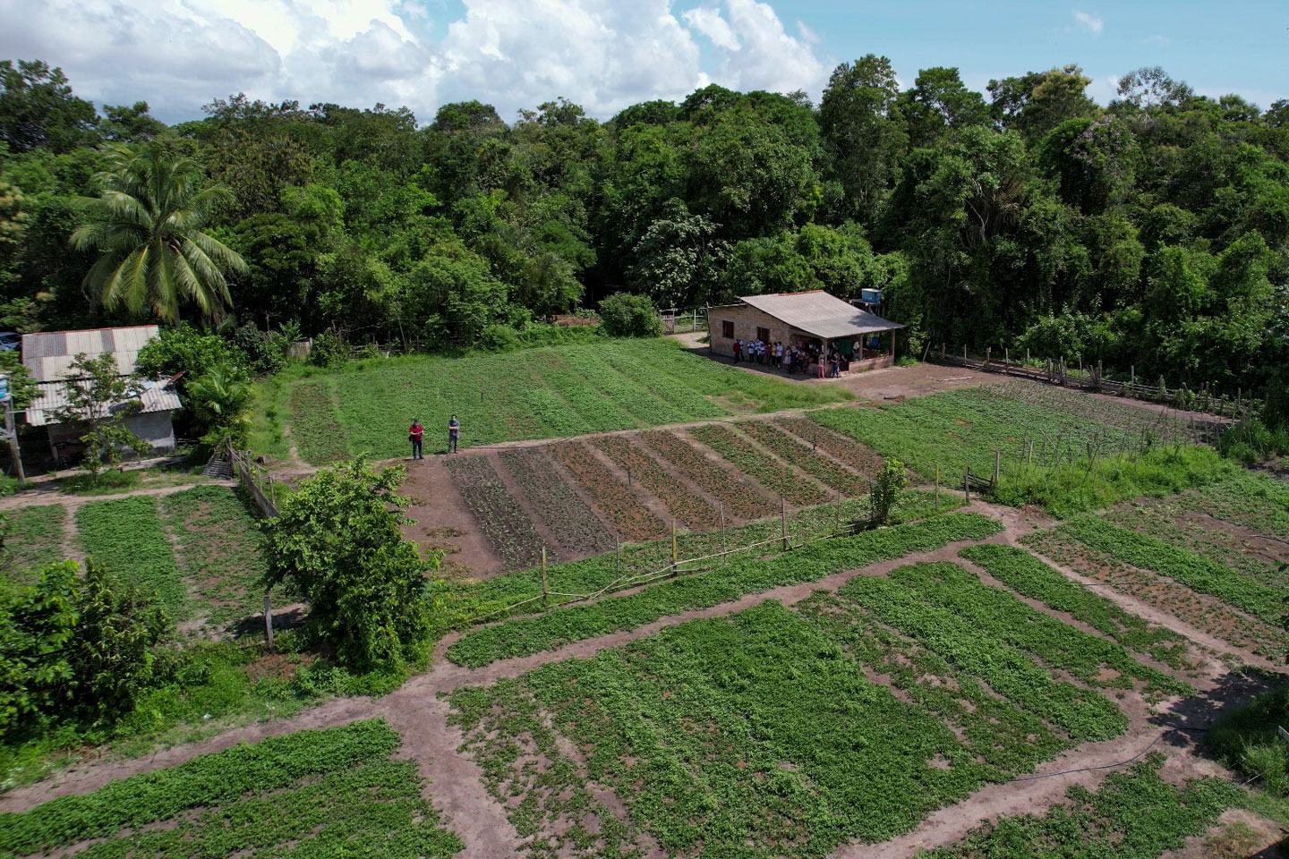 Plateau, PDF, Agricultura